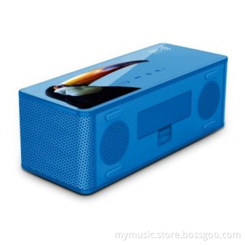 NFC Bluetooth Speaker, Micro Function for Hands-free Talking, Outdoor Subwoofer Loudspeaker